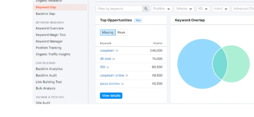 Get traffic with Semrush - content gap