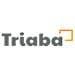 Triaba surveys logo