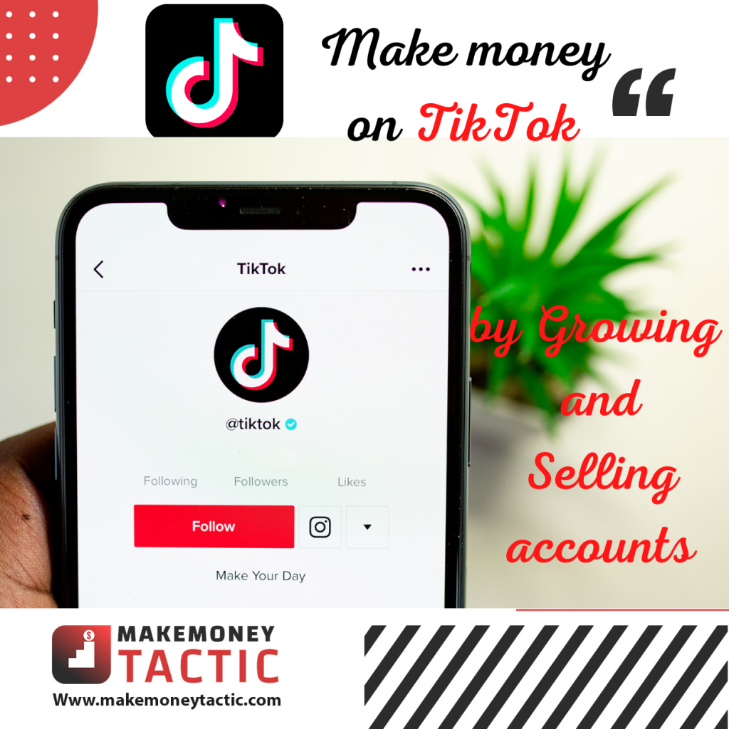 Make money on TikTok by growing and selling accounts