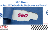 SEO Basics: The Best SEO Guide for Beginners and More!