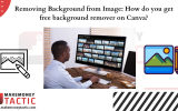 Removing Background from Image: How do you get free background remover on Canva?
