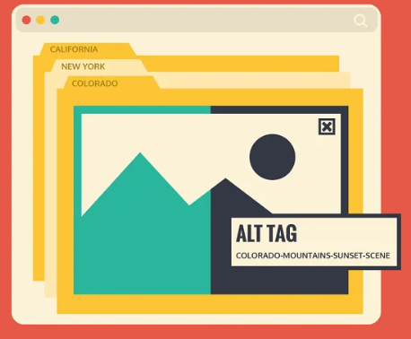 optimize images for SEO : The perfect <alt> text to optimize images for SEO