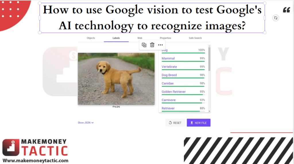 How to use Google vision to test Google's AI technology to recognize images?