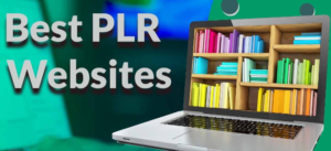 plr websites